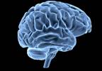 Symptom Severity, Sensory Sensitivity May Indicate Pain Centralization in Chronic Overlapping Pain Conditions Symptom Severity, Sensory Sensitivity May Indicate Pain Centralization in Chronic Overlapping Pain Conditions