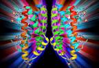 Interleukin-6 Blockade, Low C-reactive Protein Levels May Increase Schizophrenia Risk Interleukin-6 Blockade, Low C-reactive Protein Levels May Increase Schizophrenia Risk