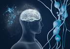 Intensive Blood Pressure Tx Does Not Reduce Dementia Risk Intensive Blood Pressure Tx Does Not Reduce Dementia Risk