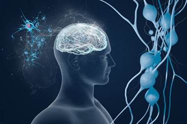 Risk Factors for Neurocognitive Decline in HIV Risk Factors for Neurocognitive Decline in HIV
