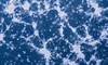 Modified Polio Vaccine Looks Promising in Early Glioblastoma Trial Modified Polio Vaccine Looks Promising in Early Glioblastoma Trial