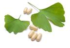 Stroke Neurocognitive Outcomes Improved With Gingko Biloba Extract Stroke Neurocognitive Outcomes Improved With Gingko Biloba Extract