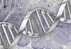 Genetics May Hold the Key to Decoding Periodic Paralysis Genetics May Hold the Key to Decoding Periodic Paralysis