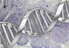 Genetics May Hold the Key to Decoding Periodic Paralysis Genetics May Hold the Key to Decoding Periodic Paralysis