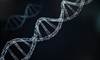 Systemic Sclerosis-Associated PAH Genomic Signature Differs From ILD Systemic Sclerosis-Associated PAH Genomic Signature Differs From ILD