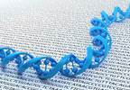 Exome-Targeted Capture Sequencing Can Diagnose Previously-Undetected Ataxia Exome-Targeted Capture Sequencing Can Diagnose Previously-Undetected Ataxia