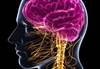 The Challenges of Identifying Biomarkers of Psychiatric Illness The Challenges of Identifying Biomarkers of Psychiatric Illness