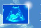 Educational Attainment Down With In Utero Exposure to AEDs Educational Attainment Down With In Utero Exposure to AEDs
