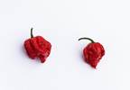 Patient Develops Thunderclap Headaches After Consuming 'Carolina Reaper' Patient Develops Thunderclap Headaches After Consuming 'Carolina Reaper'
