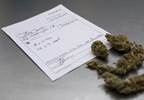 Marijuana Legalization May Reduce Opioid Use Marijuana Legalization May Reduce Opioid Use