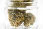 AASM: Medical Marijuana Should Not Be Used to Treat Sleep Apnea AASM: Medical Marijuana Should Not Be Used to Treat Sleep Apnea