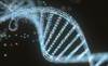 Independent Relationship Between CV Mortality, Oxidative DNA Damage in Type 2 Diabetes Independent Relationship Between CV Mortality, Oxidative DNA Damage in Type 2 Diabetes