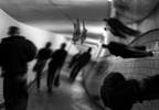 Enhanced Scale Helps Accurately Identify Psychotic Symptoms in Parkinson Disease Enhanced Scale Helps Accurately Identify Psychotic Symptoms in Parkinson Disease