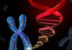 Immunotherapy Promising for Slowing Progression of ALS Immunotherapy Promising for Slowing Progression of ALS