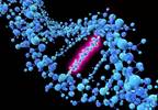 GRN Mutations May Modify Risk for Frontotemporal Lobar Degeneration GRN Mutations May Modify Risk for Frontotemporal Lobar Degeneration