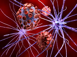 The study presents novel evidence linking the activity of specific viruses with Alzheimer disease. The study presents novel evidence linking the activity of specific viruses with Alzheimer disease.