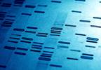 Next-Generation Sequencing May Improve Pediatric Epilepsy Tx Next-Generation Sequencing May Improve Pediatric Epilepsy Tx