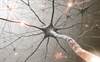 The Role of Neurogenic Inflammation in Fibromyalgia Pathophysiology The Role of Neurogenic Inflammation in Fibromyalgia Pathophysiology
