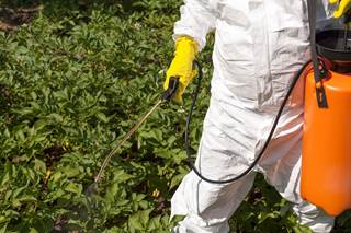 The Environmental Protection Agency must remove the pesticide chlorpyrifos from sale in the United States within 60 days, a federal appeals court ordered yesterday. The Environmental Protection Agency must remove the pesticide chlorpyrifos from sale in the United States within 60 days, a federal appeals court ordered yesterday.