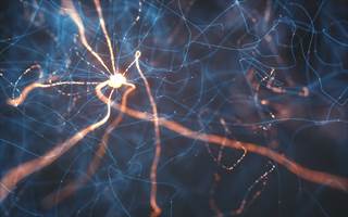 A physician encounter for cerebrovascular, central or peripheral nervous system-related disease or disorder of the same sense organs was associated with a higher odds of MS. A physician encounter for cerebrovascular, central or peripheral nervous system-related disease or disorder of the same sense organs was associated with a higher odds of MS.