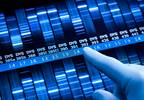 Genetic Risk Score Predicts Response to Triptans for Migraines Without Aura Genetic Risk Score Predicts Response to Triptans for Migraines Without Aura