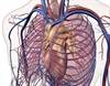 Left Atrial Enlargement Linked to Vascular Brain Injury Left Atrial Enlargement Linked to Vascular Brain Injury