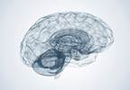 Researchers Identify Common Neurologic Manifestations in Fibromuscular Dysplasia Researchers Identify Common Neurologic Manifestations in Fibromuscular Dysplasia