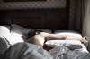 Epilepsy, Sleep Apnea, and SUDEP: A Closer Look Epilepsy, Sleep Apnea, and SUDEP: A Closer Look