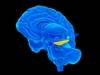 Autoimmune Diseases Increase Hippocampal Sclerosis Risk in Nonagenarians Autoimmune Diseases Increase Hippocampal Sclerosis Risk in Nonagenarians