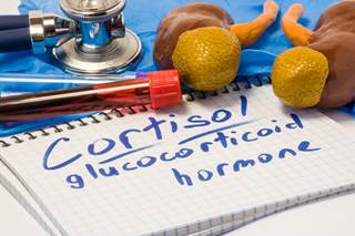 Researchers indicated that cortisol may be a predictive biomarker for future risk for dementia. Researchers indicated that cortisol may be a predictive biomarker for future risk for dementia.