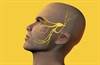 External Trigeminal Nerve Stimulation May Alleviate Migraine Pain External Trigeminal Nerve Stimulation May Alleviate Migraine Pain