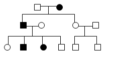 Hereditary Renal Cystic Diseases: Autosomal Dominant Polycystic Kidney ...